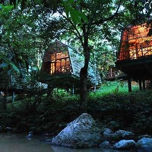 Tabin Wildlife Resort